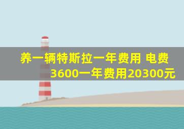 养一辆特斯拉一年费用 电费3600一年费用20300元